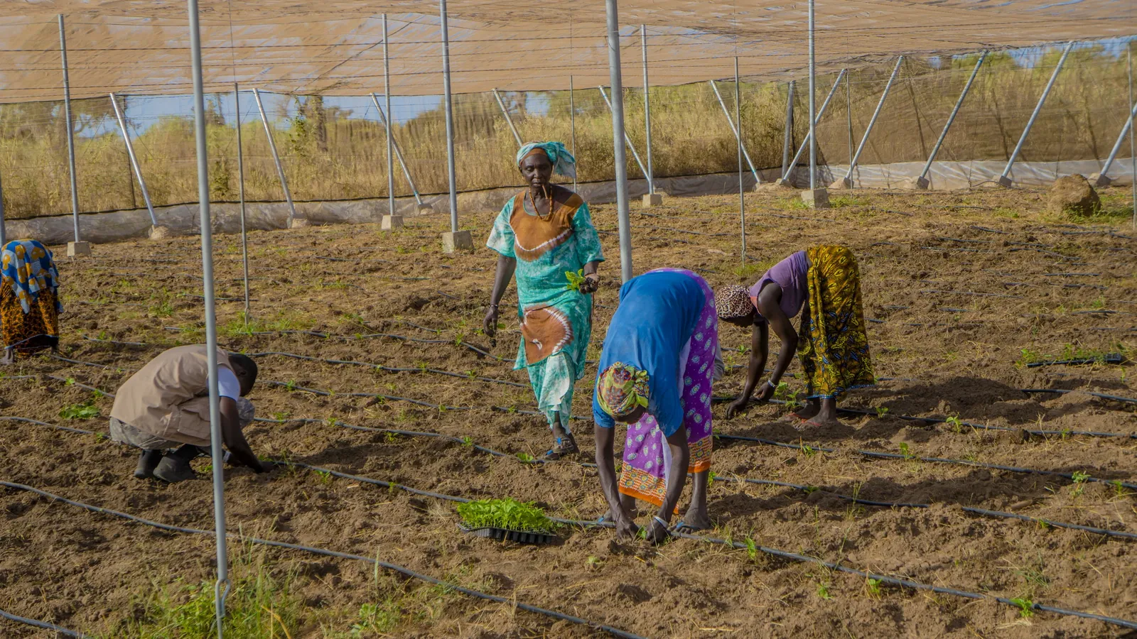 Baykat & Business — activités agricoles et logistiques