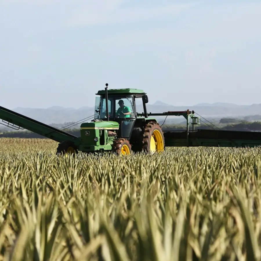 Tracteur récoltant un champ de céréales