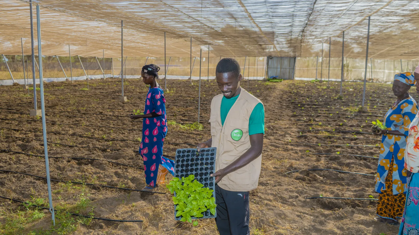 Terrain agricole — cultures en plein champ